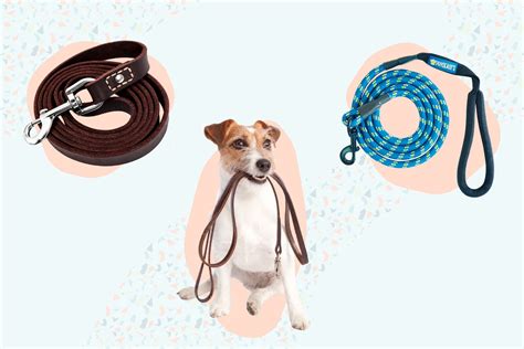 The 9 Best Dog Leashes of 2023