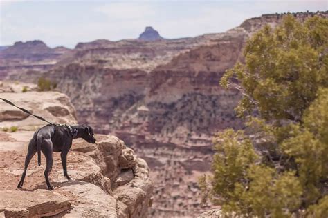 San Rafael Swell Camping