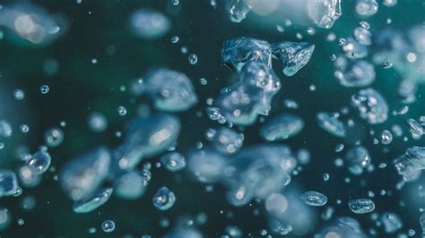 Download wallpaper 3840x2160 water, bubbles, macro, underwater 4k uhd ...