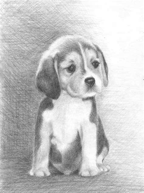 Cute Puppy Drawing In Pencil