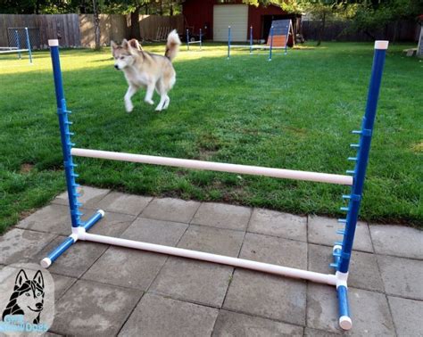 The top 22 Ideas About Diy Dog Obstacle Course - Home, Family, Style ...