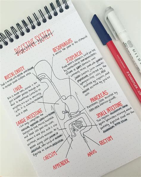 My worst topic! #studymotivation #revising #studygram #alevels # ...