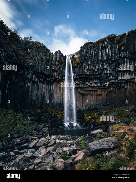 Waterfall, Svartifoss, Basalt Columns, Iceland Stock Photo - Alamy