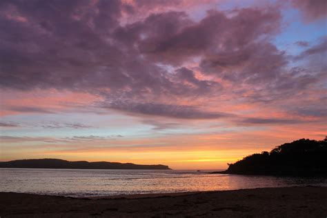 Pearl Beach NSW Pearl Beach, Travel Inspiration, Favorite Places ...