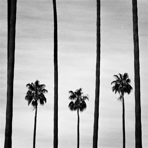 Surreal sights in the Black and White Minimalist Photography Awards