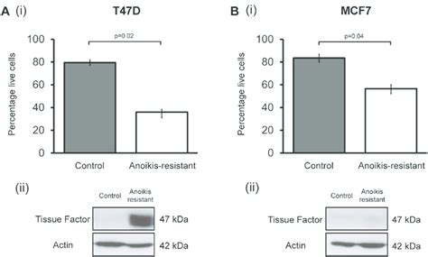 Tissue Factor expression is increased in anoikis-resistant (cancer stem ...