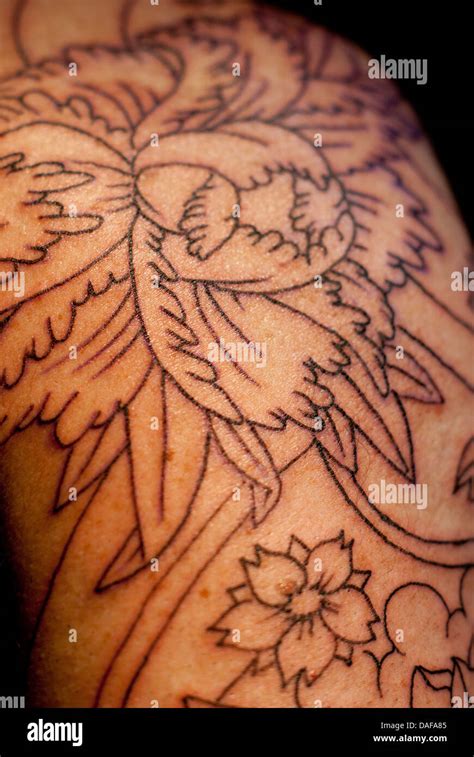 Traditional Japanese tattoo outline Stock Photo - Alamy