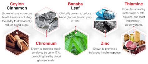 Glucose 1 Reviews September 2024 - Don’t Buy Until You See This!