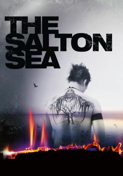 Watch The Salton Sea (2002) - Free Movies | Tubi