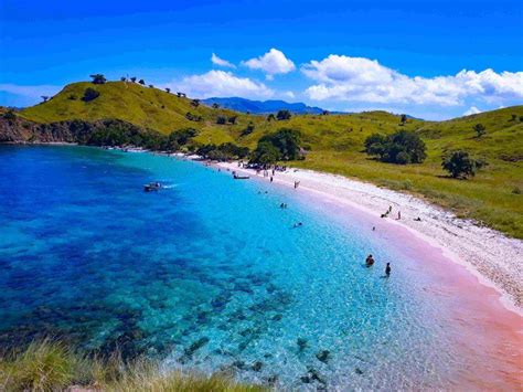 5 Destinasi Wisata Terbaik Pulau Komodo Yang Tidak Boleh Dilewatkan