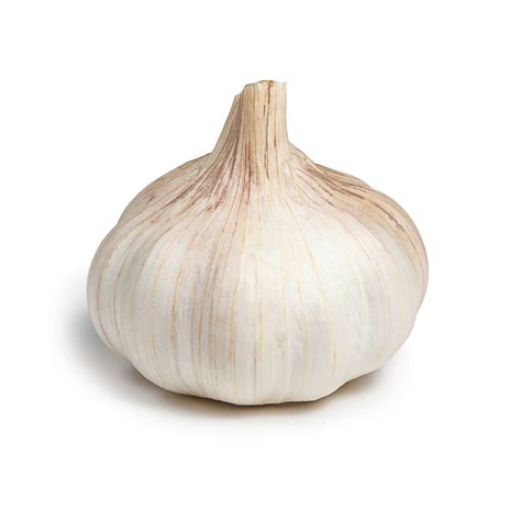 Bulb Of Garlic