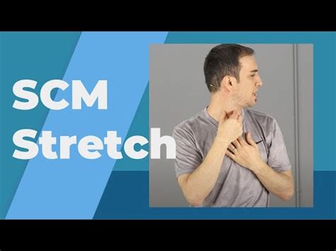 How to Stretch the Sternocleidomastoid (SCM) | Dr. Body Gadget