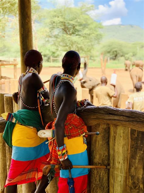 Reteti Elephant Sanctuary: How A Small Community In Kenya Is Making A Huge Difference in ...