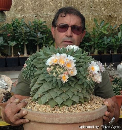 a man holding a potted plant with flowers in it