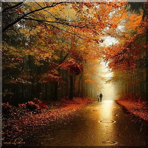 Autumn Rain Pictures, Photos, and Images for Facebook, Tumblr ...