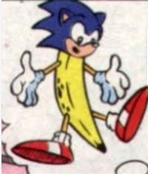 I'm gonna post s'more cursed sonic images, heres the first one of the day. : r/SonicTheHedgehog