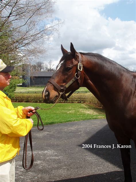 Running Rough Shod: Tapit, Saturday Star