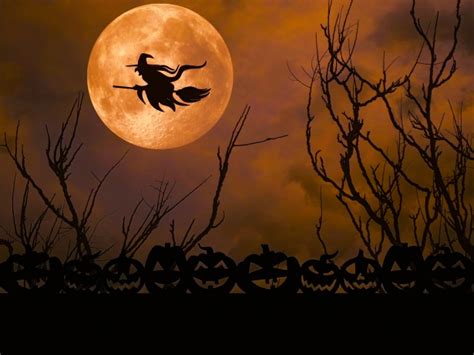 Witch And Full Moon Free Stock Photo - Public Domain Pictures