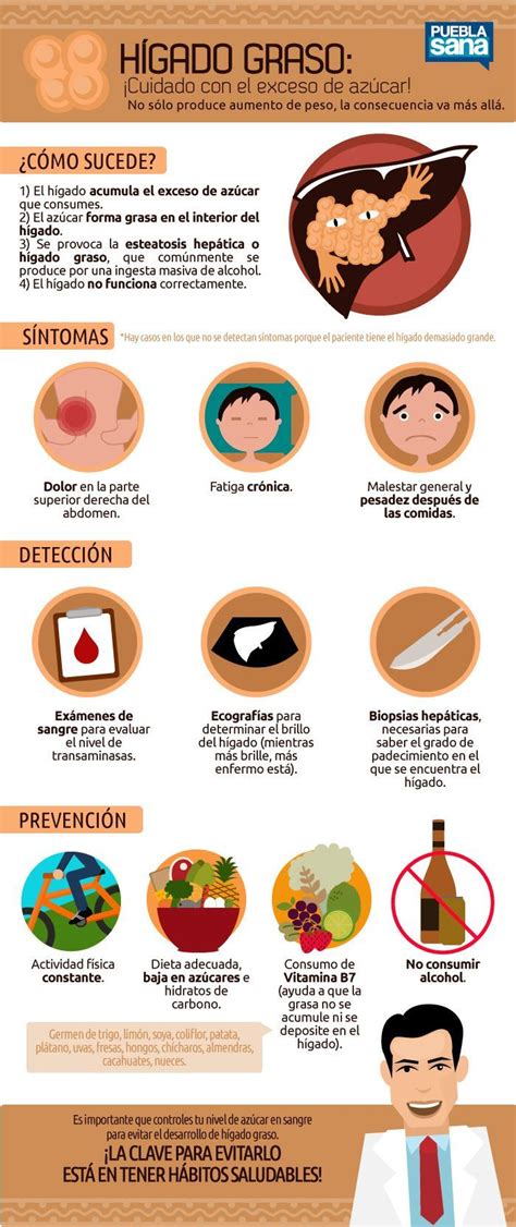 Hígado graso: Síntomas, tipos y prevención | Salud, Consejos para la salud, Infografia salud