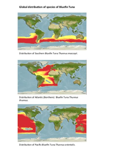 SBT Are Often Confused With Other Tuna Species | Australian Southern Bluefin Tuna Industry ...