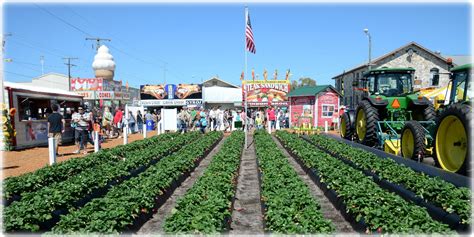 Plant City Florida Strawberry Festival 2024 - delia karoline