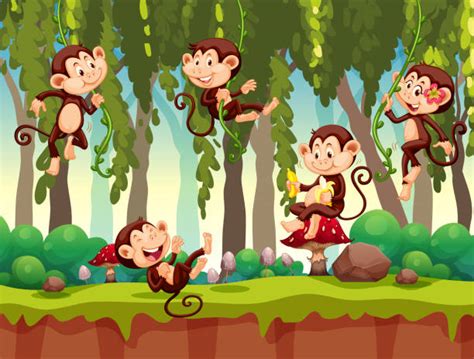 Royalty Free Monkey Jungle Clip Art, Vector Images & Illustrations - iStock