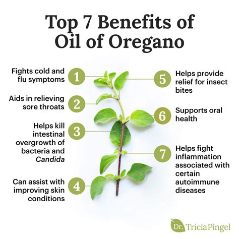 7 Amazing Health Benefits of Oregano Oil - Dr. Tricia Pingel