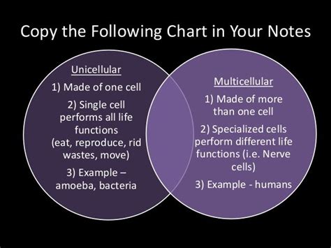 25 best unicell vs multi cell images on Pinterest | Life science ...