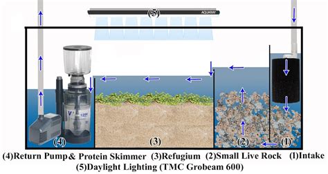 Aquarium Sump, Central System Filter