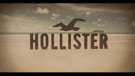 Hollister Logo Bird Wallpaper