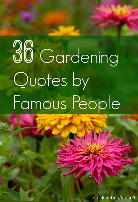 famous quotes about gardening | Garden quotes signs, Gardening quotes ...