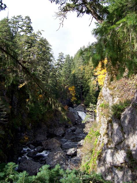 Vancouver Island Big Trees: Sooke Potholes Parks: Remnant Old Growth Forest (and good swimming)