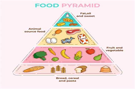 Piramida Makanan: Panduan Makan Sehat Beserta Contoh