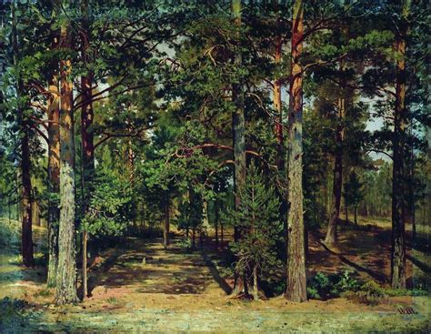 Pine forest 1 - Shishkin - oil painting reproduction - China Oil Painting Gallery