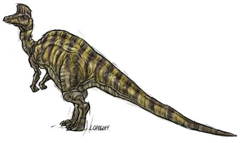 Corythosaurus Facts | Dinosaurs Pictures and Facts