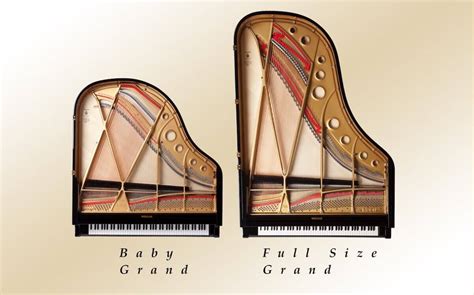 Baby Grand Piano Size Chart - Baby