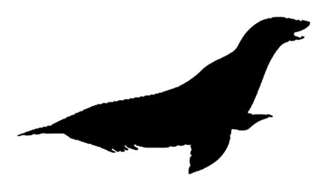 Sea Lion Silhouette at GetDrawings | Free download