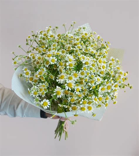 Daisy Bouquet – Hello Blooms