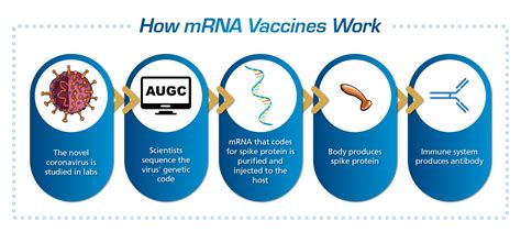 Diverse Applications of mRNA Technology | Esco Scientific