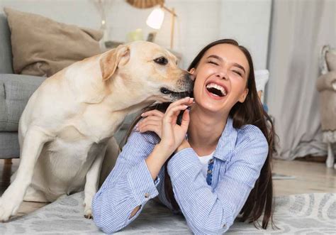 Check out these 13 surprising facts about your dog’s sense of smell to ...