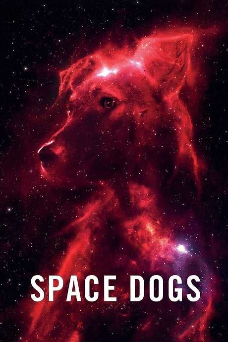 ‎Space Dogs (2019) directed by Elsa Kremser, Levin Peter • Reviews, film + cast • Letterboxd