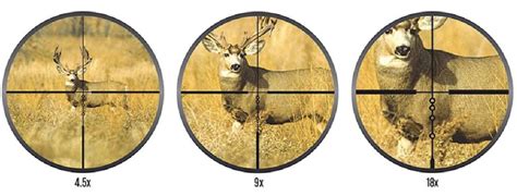 How to Select a Rifle Scope | Sportsman's Warehouse