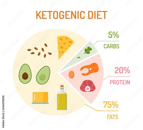 Ketogenic diet chart. The percentage of fats, proteins and carbs. Flat ...