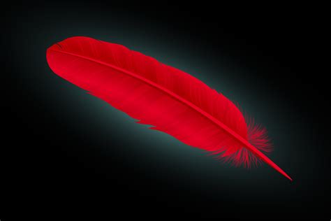 Red Feather Meaning and Symbolism | Color Meanings