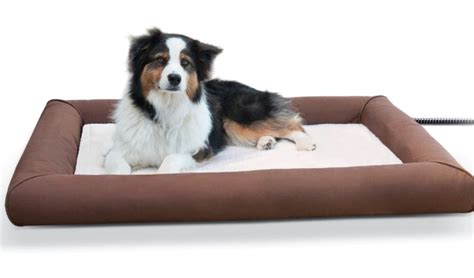 The 10 Best Heated Dog Bed of 2024 - PureWow