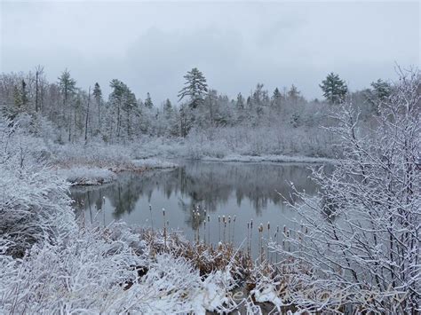 Maine Winter Scenes | Pond in Winter | Maine winter, Winter scenes, Pond