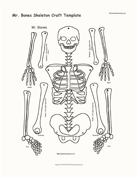 Mr. Bones Skeleton Craft Template - Enchanted Learning