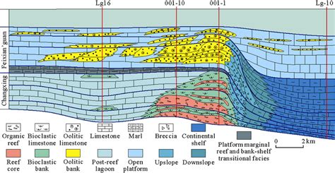 Schematic of organic reefs and oolitic beaches growth during ...