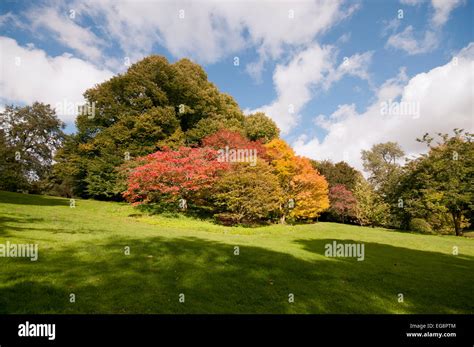 Batsford Arboretum Autumn Stock Photo - Alamy