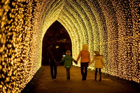 Christmas at Kew, Mid Nov–Early Jan 2026, 2025 | London Cheapo